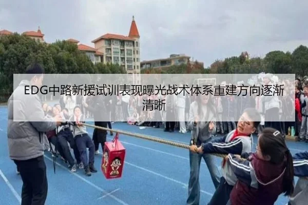 EDG中路新援试训表现曝光战术体系重建方向逐渐清晰